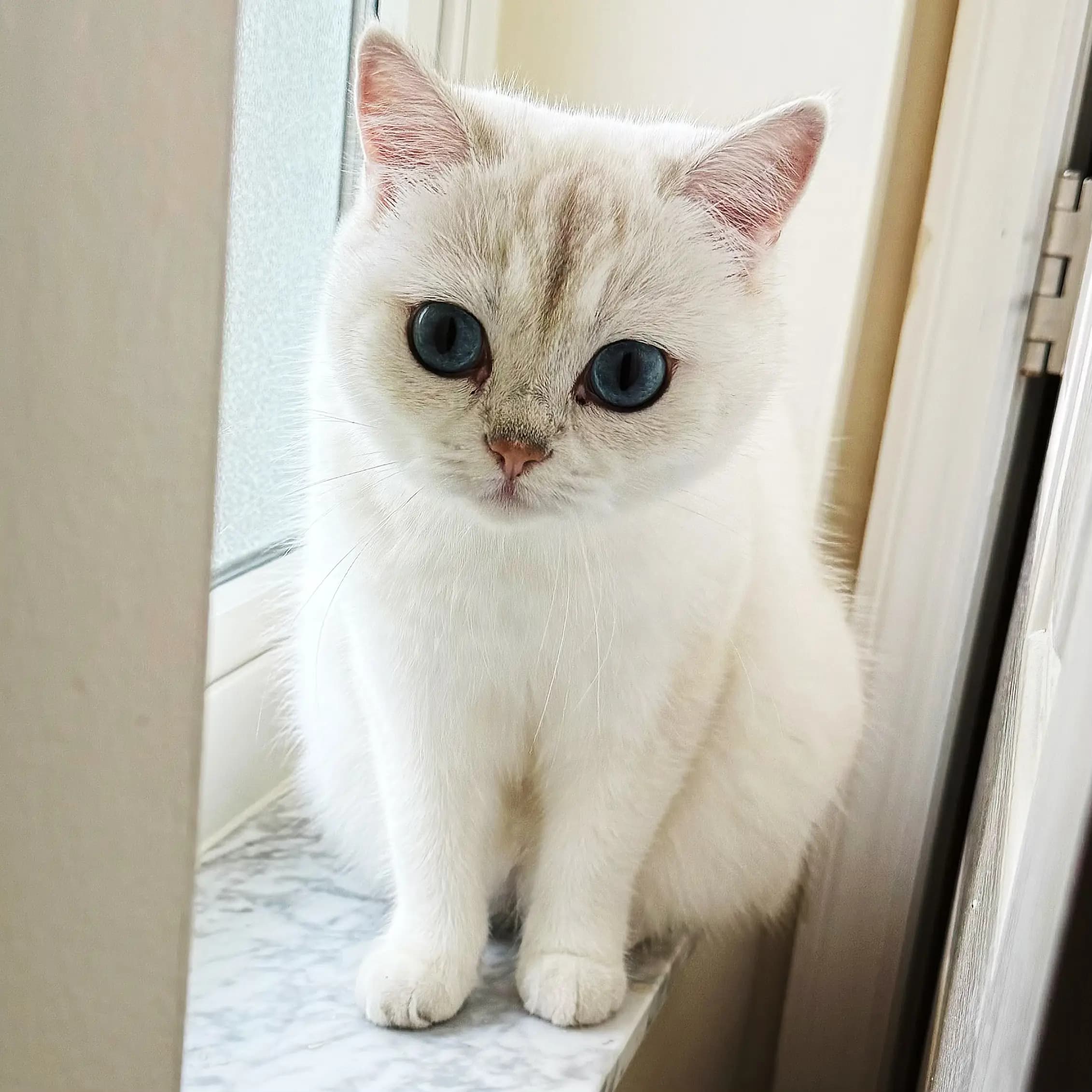 No words needed ā just one look melts everything.