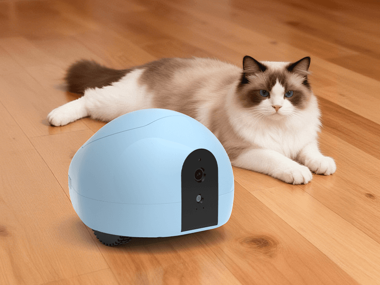 š¾ A Little Robot, A Big Connection